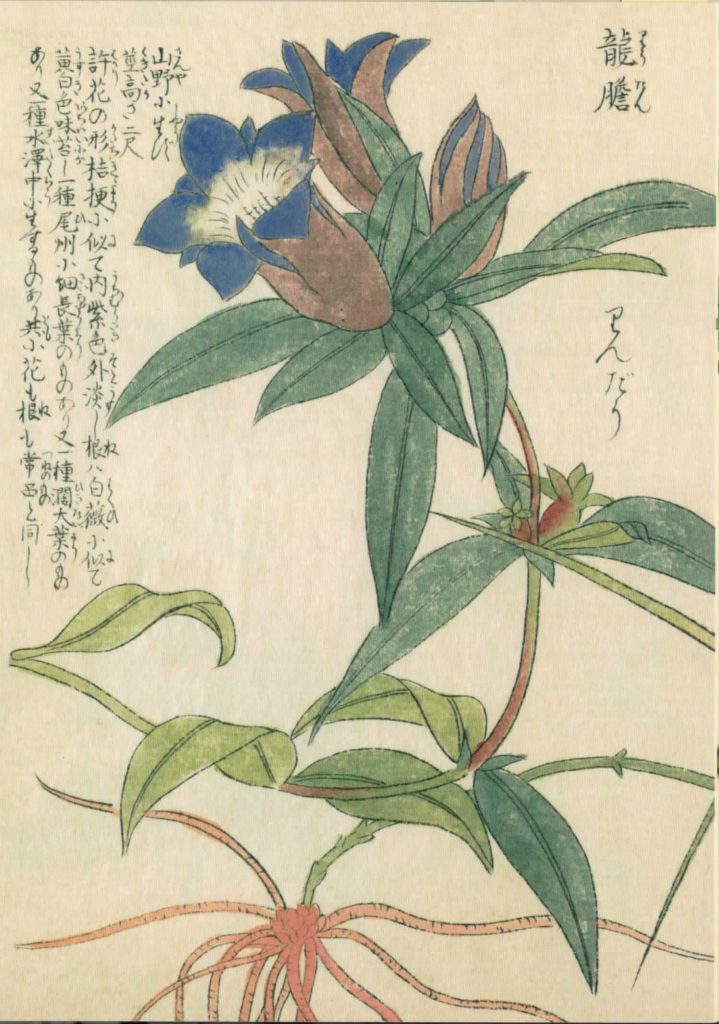 誕生日プレゼント ［値下げ］中国画家による四季咲きの草花の水彩画 ...